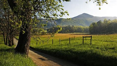 population of spring hill tennessee|desktop background pictures of springtime.